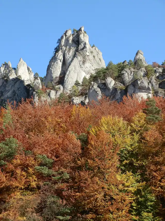Autumn forest below the rocks